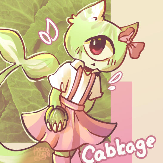 Cabbage